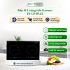 Bếp từ đôi Eurosun EU-T210PLUS lắp âm 2 EU T210PLUS
