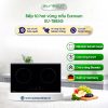 Bếp từ đôi Eurosun EU-T885G lắp âm 1 EU T885G