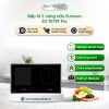 Bếp từ Eurosun EU-TE799 Pro 1 EU TE799 Pro